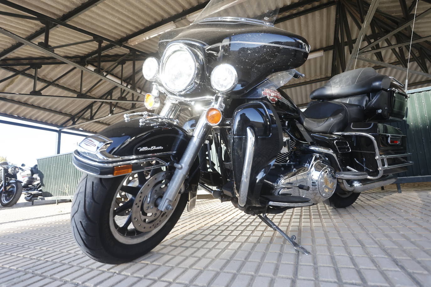 Así ha sido la primera jornada de la concentración internacional del club Buitres Leonaos