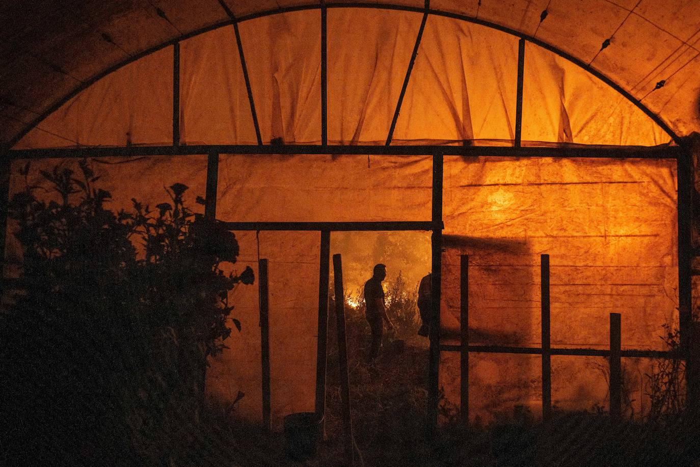 Los incendios de Portugal, en imágenes