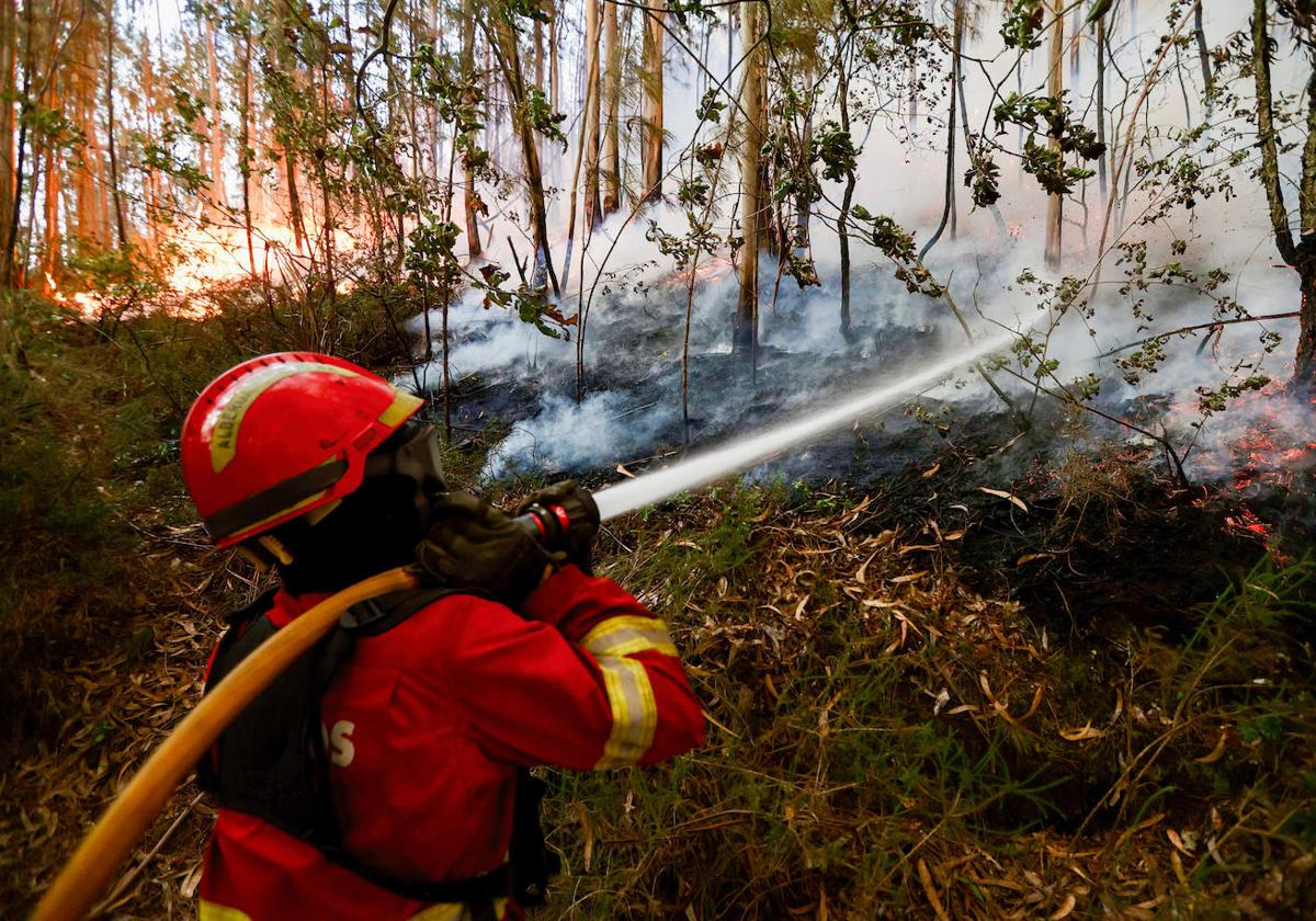 Los incendios de Portugal, en imágenes (II)