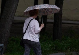 Cuatro comarcas extremeñas activarán este jueves el aviso amarillo por lluvias