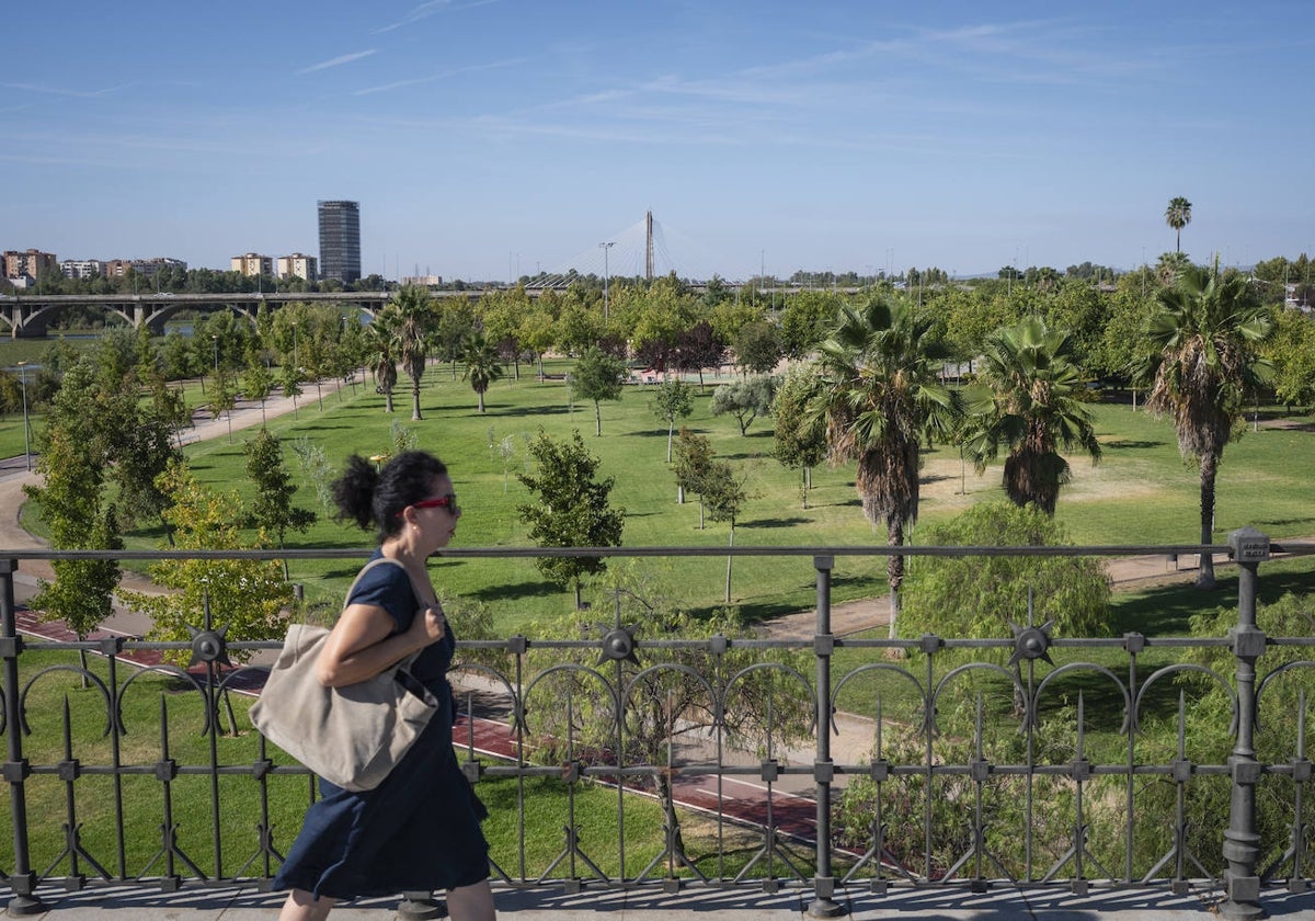 Una mujer pasa por el Puente del Palmas con el parque de la margen derecha al fondo.