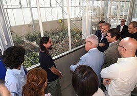 El rector de la UEx, Fernández Salguero, visita el invernadero.