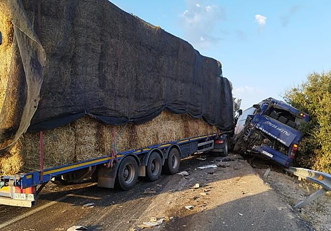 El autobús siniestrado se encontraba parado en la calzada por una avería cuando recibió el impacto del camión.