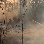 Ignacio Higuero califica de drama los incendios en Portugal