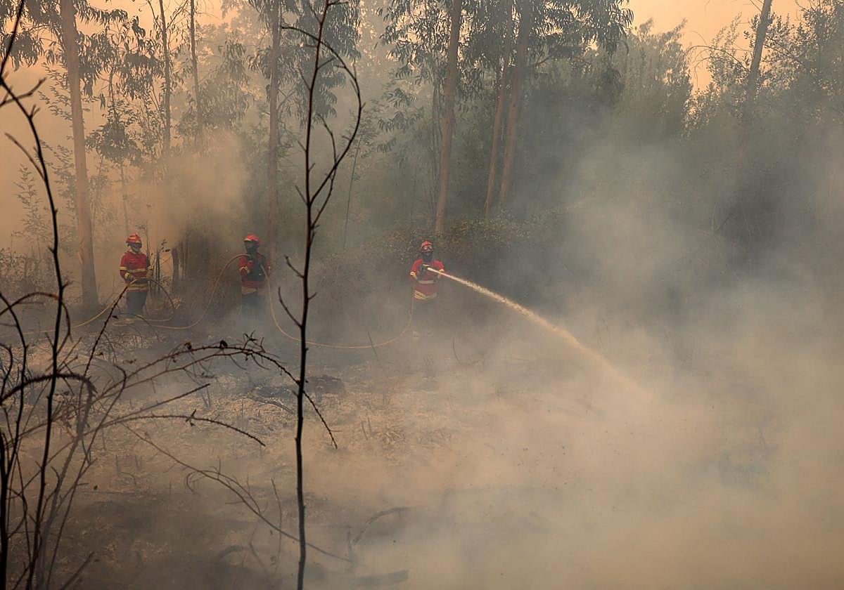 Ignacio Higuero califica de drama los incendios en Portugal