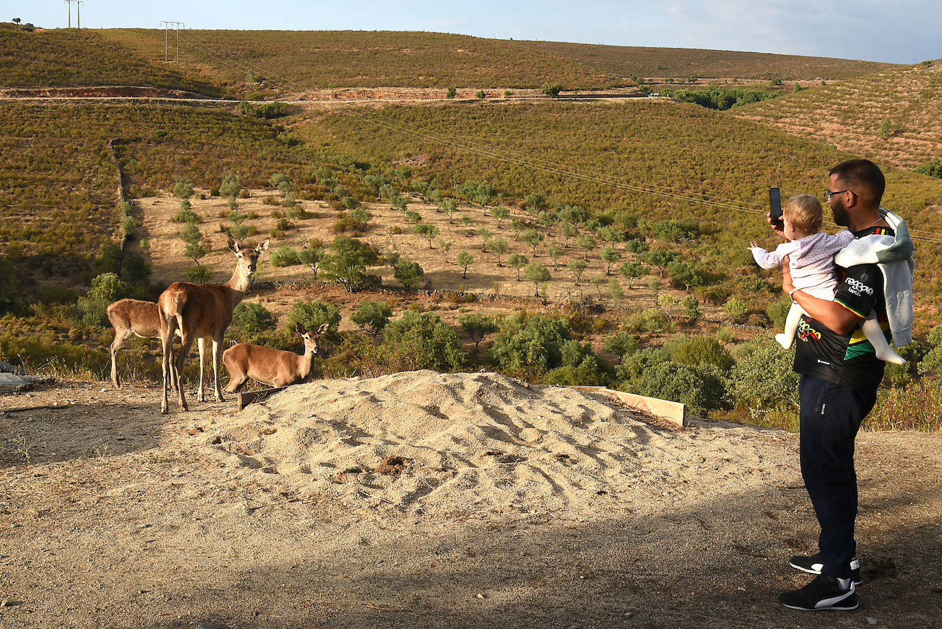 Visitas a Monfragüe para contemplar la berrea