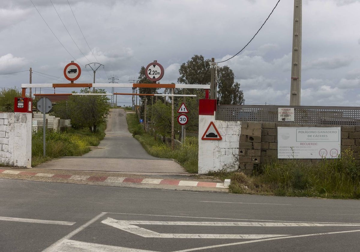 La calle donde fueron los tiroteos en Cáceres.