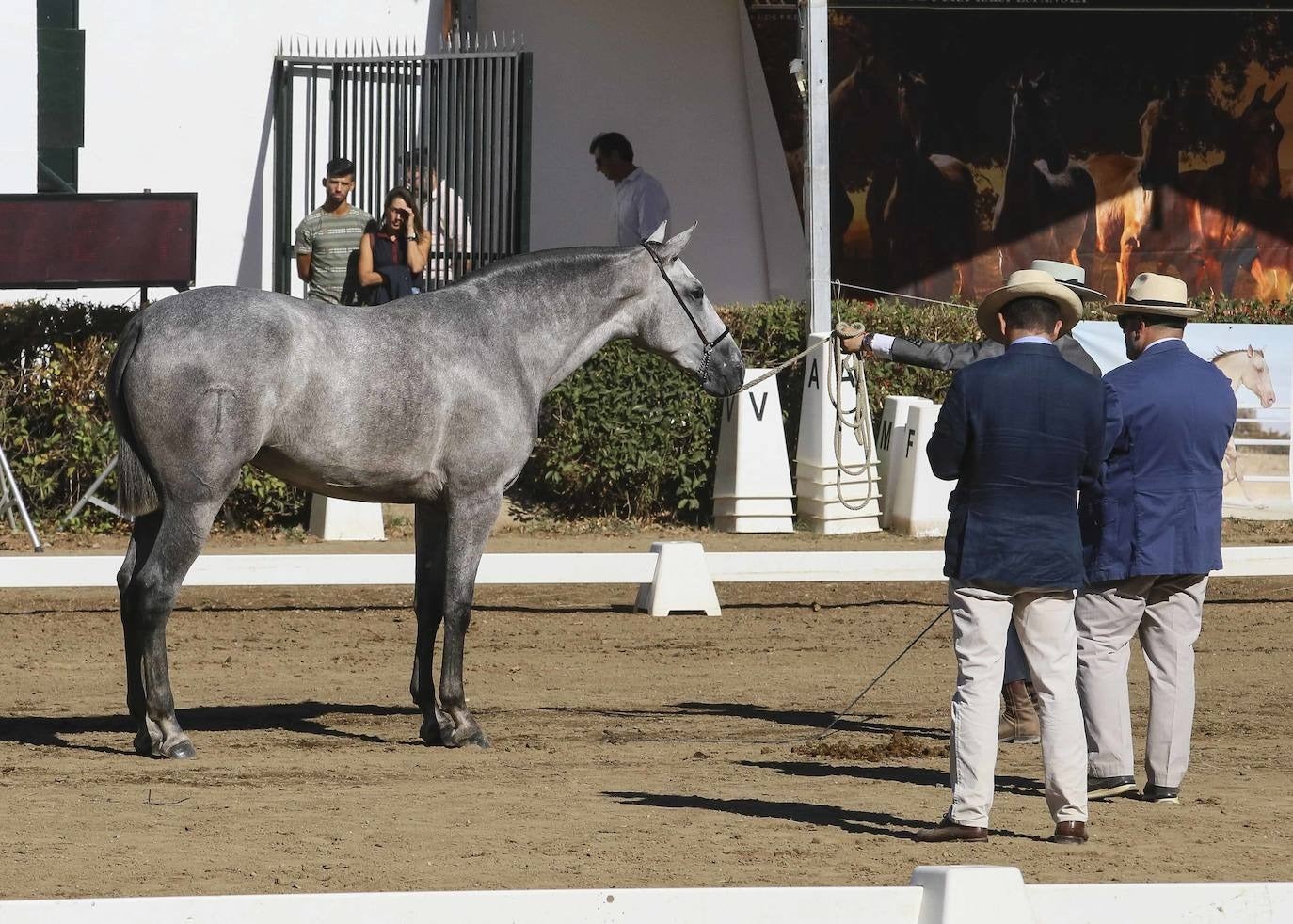 Feria ganadera de Zafra de 2023.