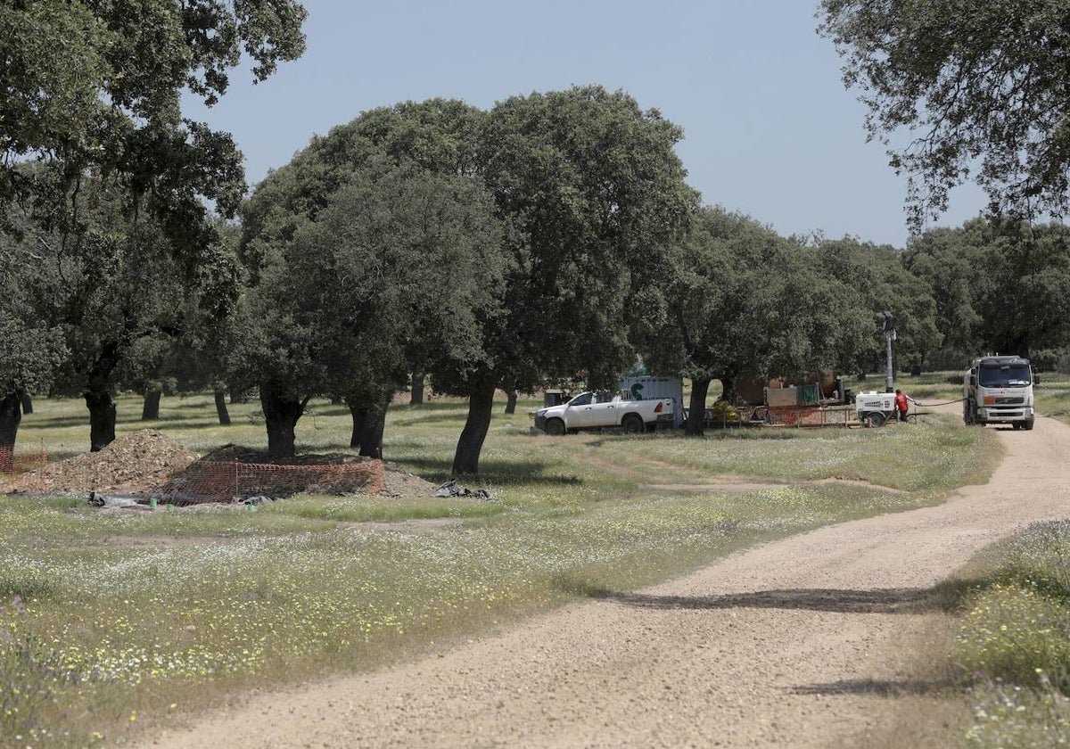 Trabajos previos de investigación de litio en Cañaveral.