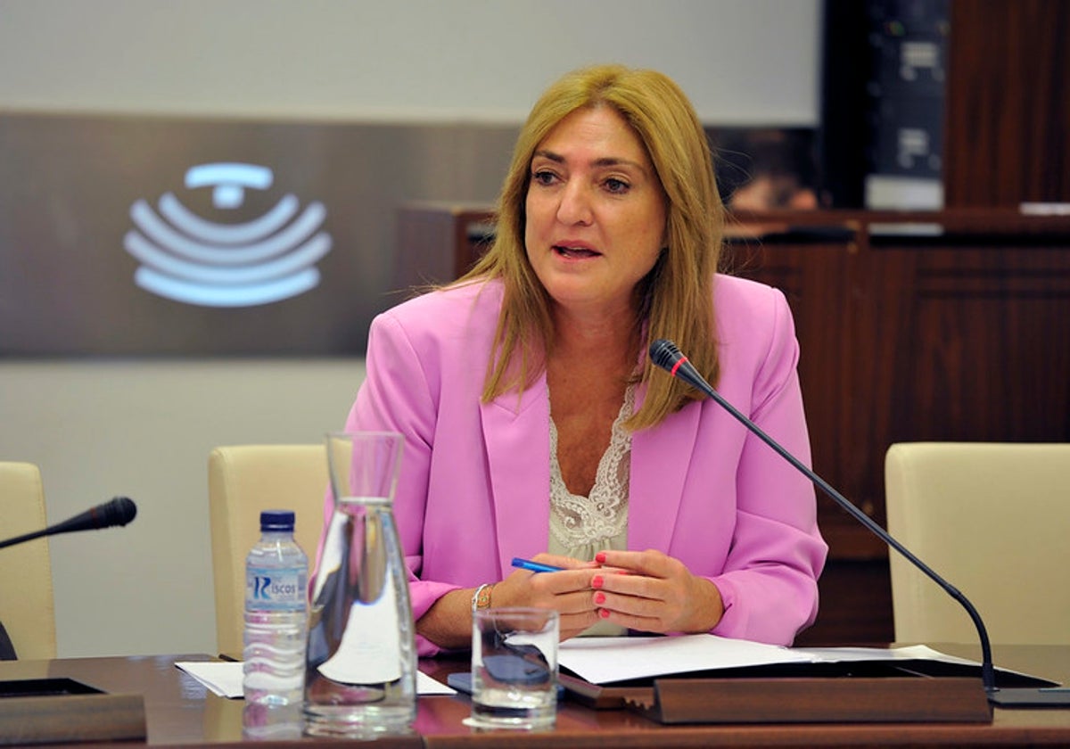 La secretaria general de Educación, Pilar Pérez, esta mañana en la Asamblea.