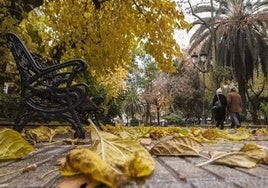 La Aemet avisa que habrá lluvias y caerán las temperaturas en la próxima semana