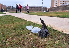 Bolsas con excrementos caninos depositadas en el césped del corredor verde de la calle Stadium.