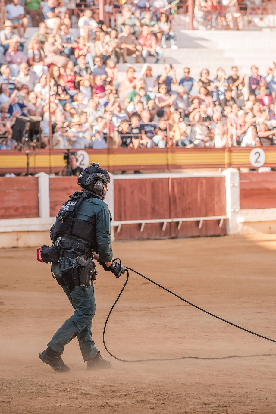 Fotos (II) | Así fue la exhibición de la Guardia Civil en Mérida