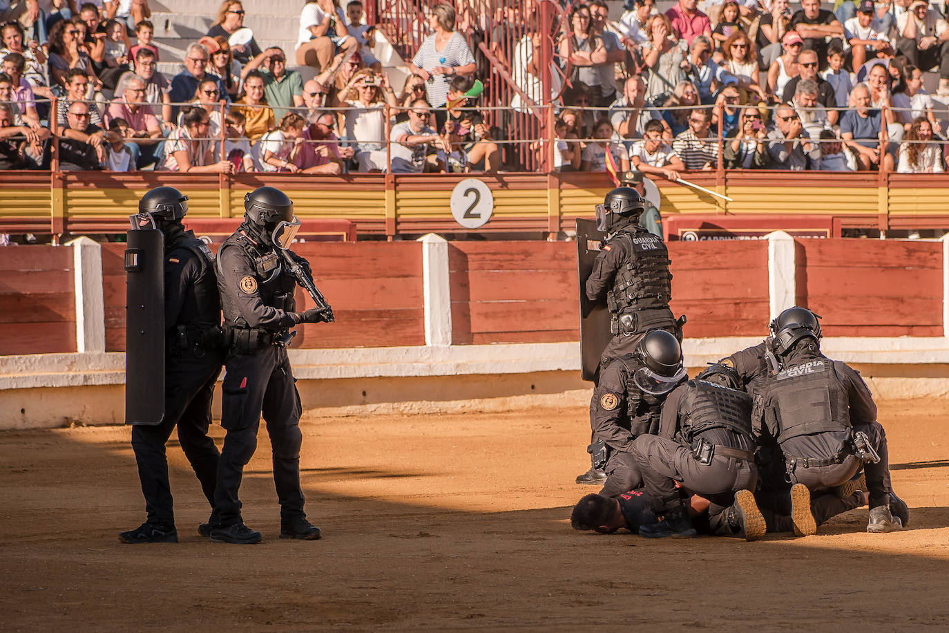Fotos (II) | Así fue la exhibición de la Guardia Civil en Mérida