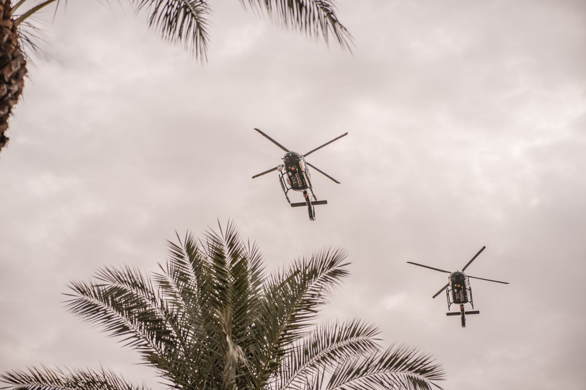 Desfile de la Guardia Civil en Mérida, en imágenes (II)