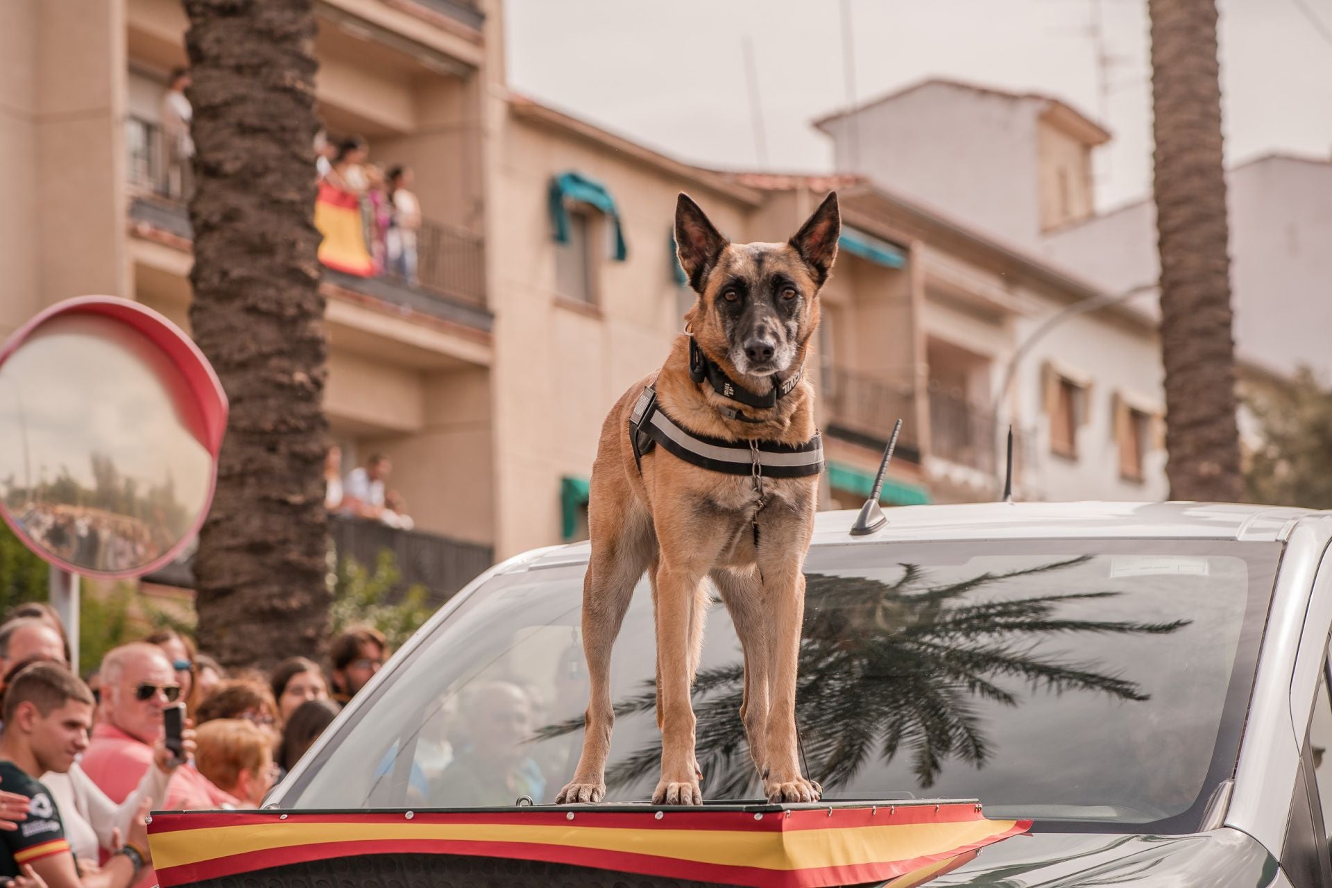 Desfile de la Guardia Civil en Mérida, en imágenes (II)