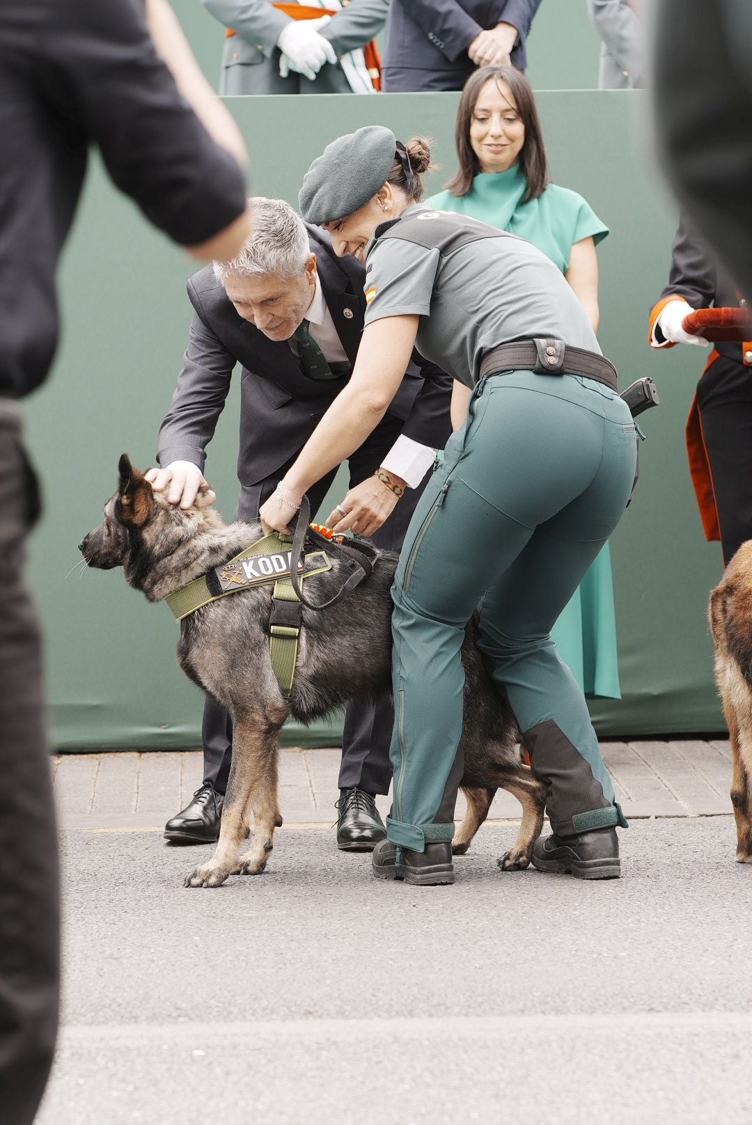 Desfile de la Guardia Civil en Mérida, en imágenes (I)