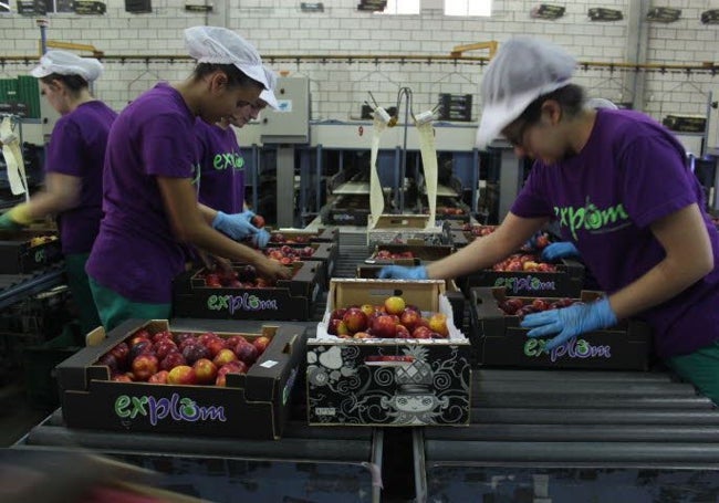 Lo común en el mercado laboral español es que ellas perciban remuneraciones inferiores a ellos.