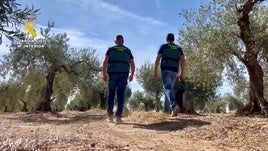 Agentes de la Guardia Civil.