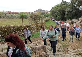 Imagen de la marcha rosa 2023