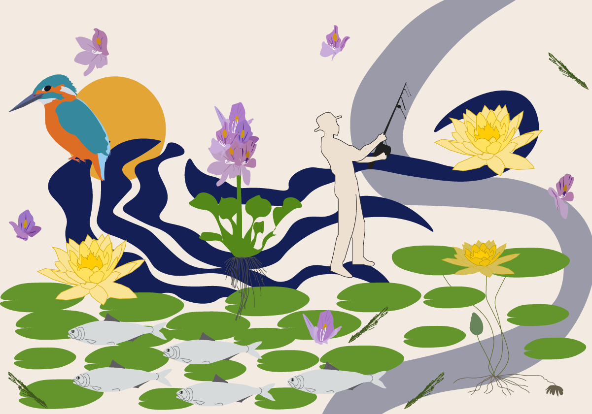 Historia visual | El nenúfar, la planta invasora que borró el río