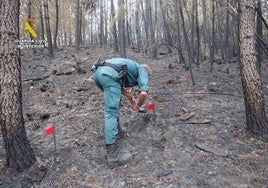 El fuego se extendió por distintos municipios de las comarcas cacereñas de Hurdes y Gata.