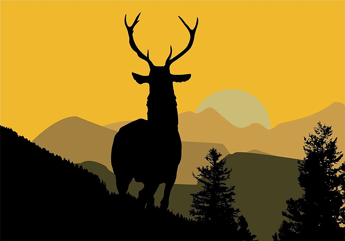 Cazadores y ecologistas