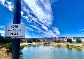 Vista de la Charca Musia, que sigue siendo coto de pesca aunque no se vean pescadores hace años.