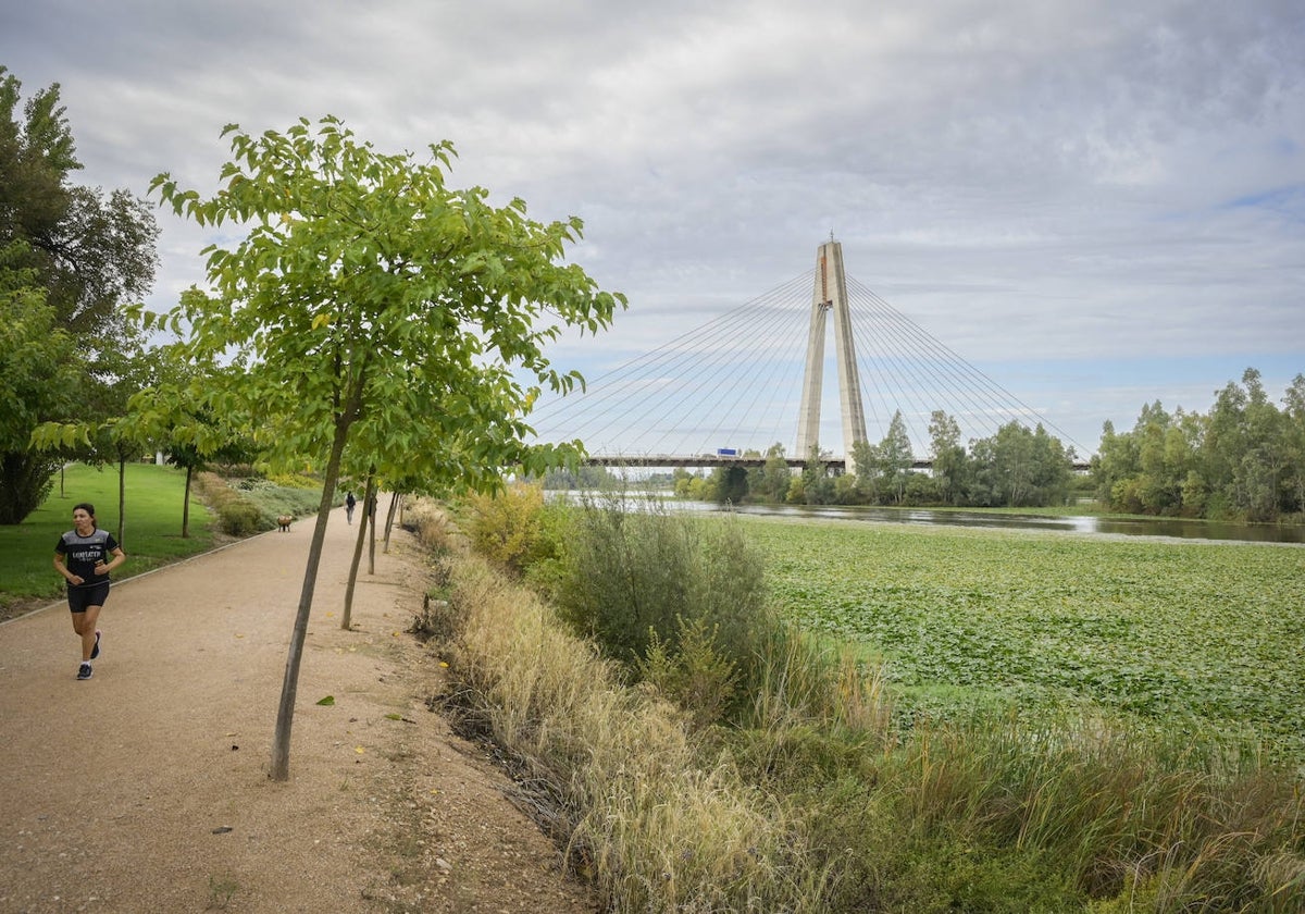 Acuerdo para eliminar el nenúfar: la retirada terminará en Badajoz en 2028