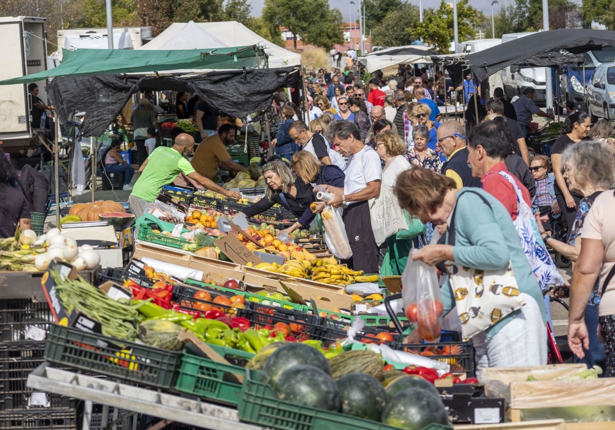 Imagen del mercadillo de los miércoles en Vegas del Mocho.