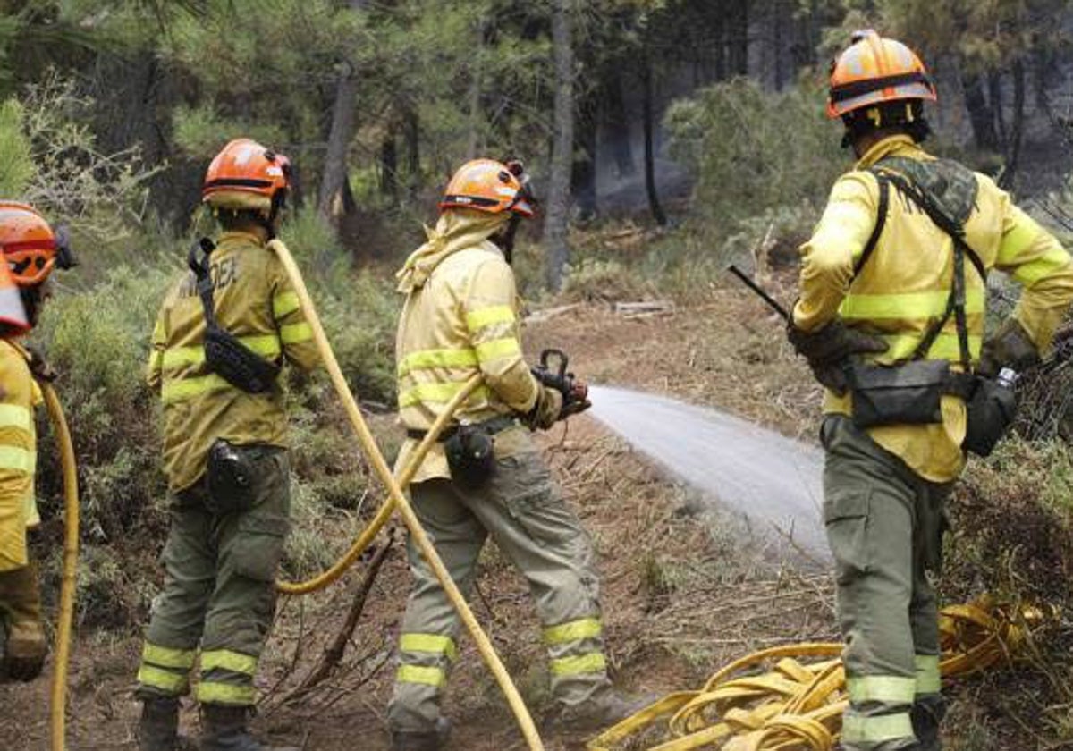 Bomberos del plan Infoex trabajando en un incendio.