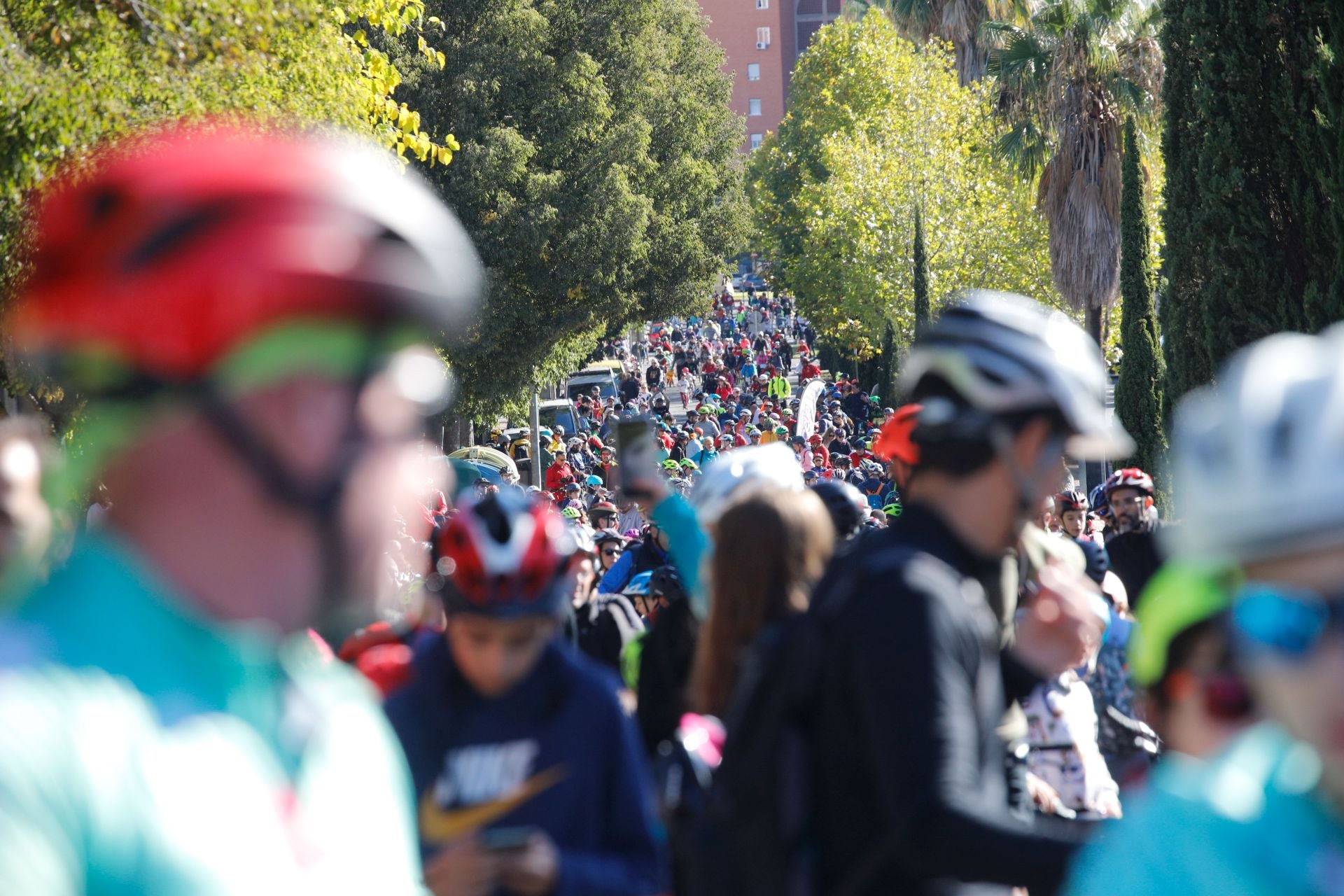 La Fiesta de la Bicicleta de Cáceres, en imágenes (II)