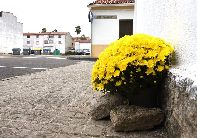 Flores por el fallecido y, al fondo, contenedores donde la Guardia Civil encontró las faldillas y las mantas.