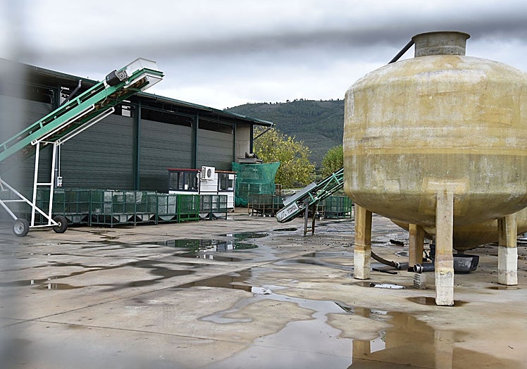 Empresa de aceitunas donde se produjo el disparo que acabó con la vida de José Luis.