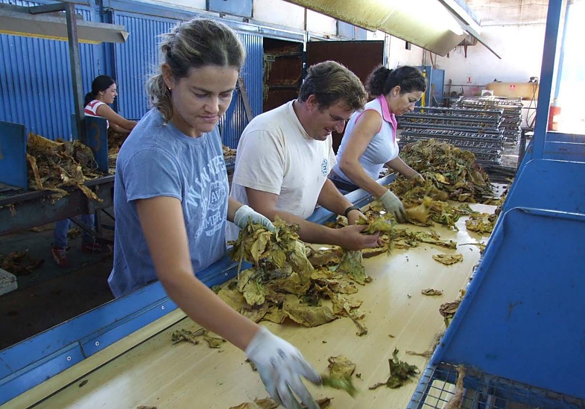 El recambio generacional no está garantizado en el campo.