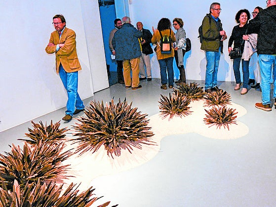 Imagen principal - Noviembre se ve en Badajoz a través negativos y con premio