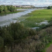 El riesgo de inundaciones es extremo en Badajoz y Coria, y alto en 12 municipios