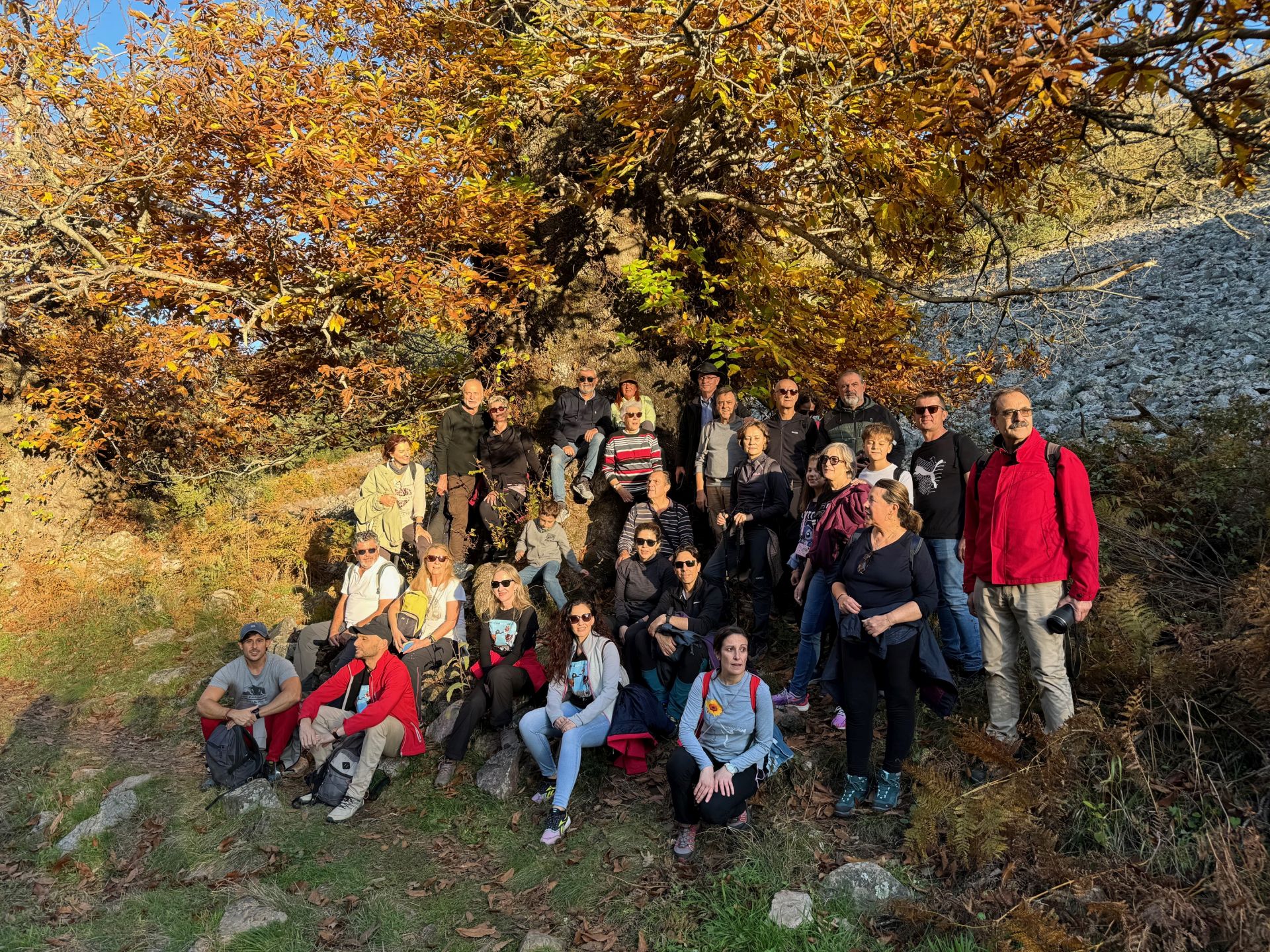 Última actividad que se ha hecho con el Tren Turístico Geoparque: la ruta de los Castaños Calabaza.