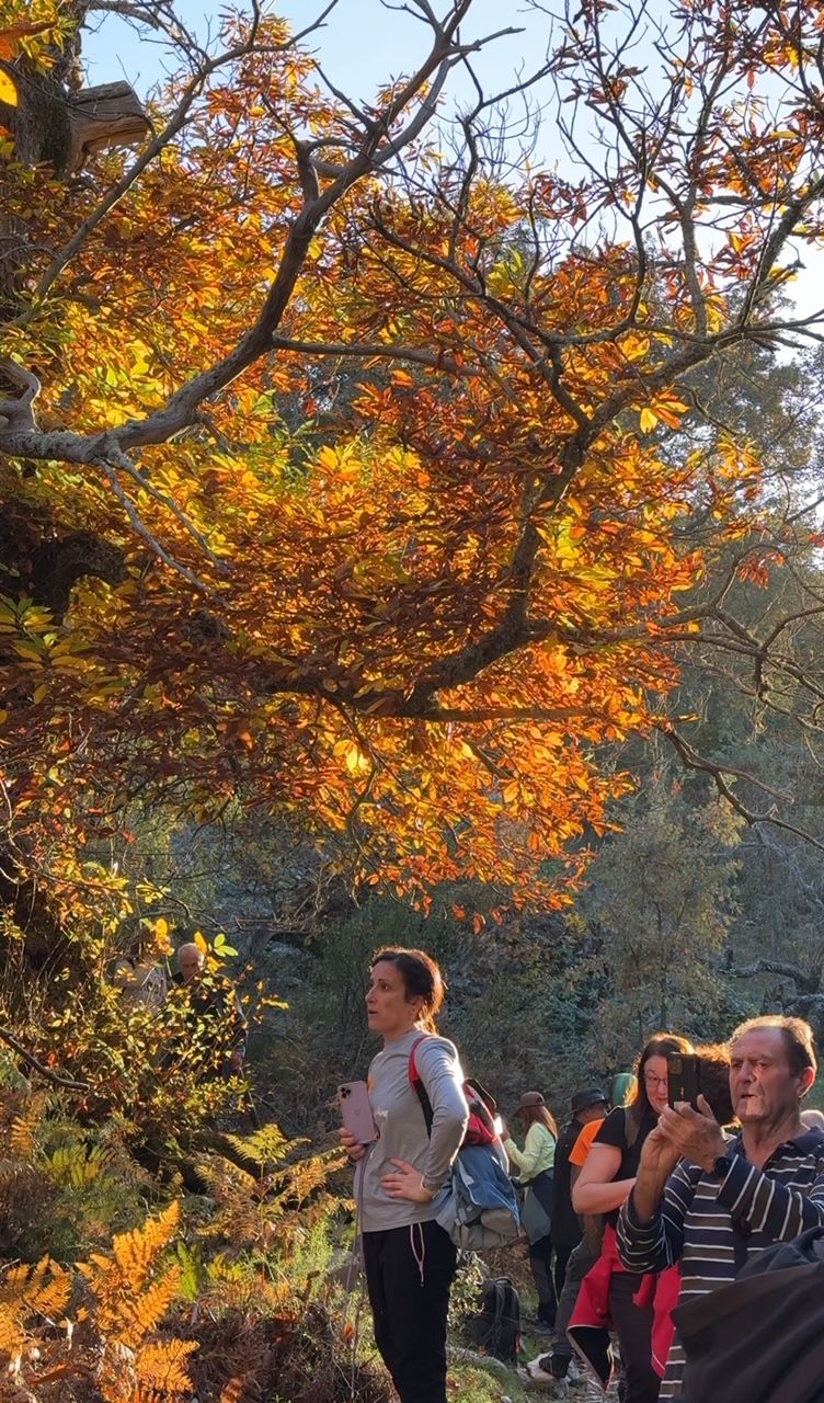 Última actividad que se ha hecho con el Tren Turístico Geoparque: la ruta de los Castaños Calabaza.