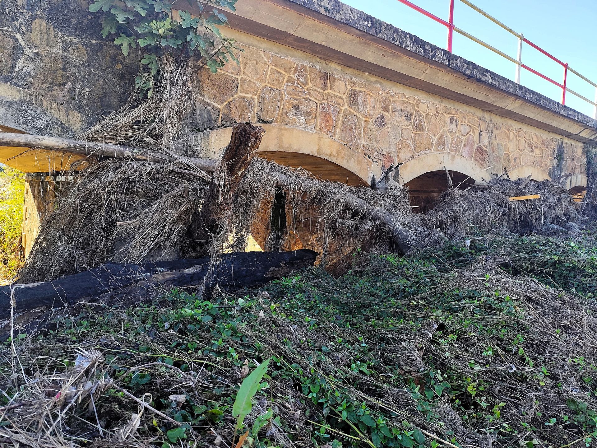 Estado actual del puente viejo de Carrión
