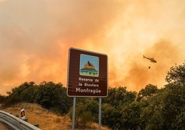 Incendio forestal que tuvo lugar en Monfragüe en julio de 2022.