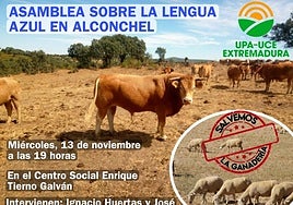 Cartel de la asamblea que se celebrará en Alconchel.