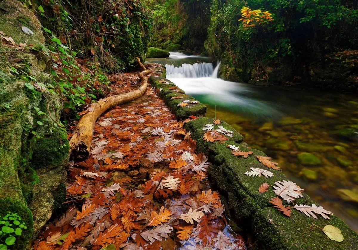 Continúa el Otoño Mágico en Extremadura con mercados medievales y mucho flamenco este fin de semana