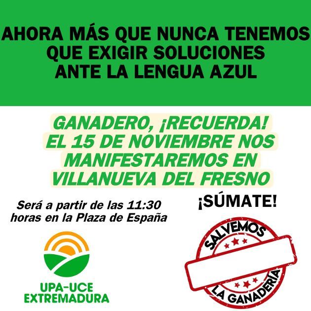 Cartel de la manifestación.
