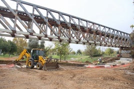 Puente de Hierro de Mérida, este viernes.