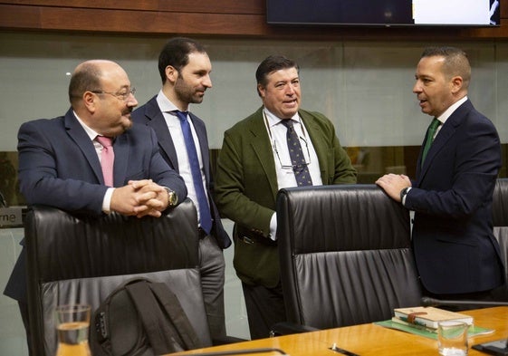 Juan José García, Álvaro Sánchez-Ocaña, Javier Bravo y Óscar Fernández, diputados de Vox, en el pleno de este jueves.