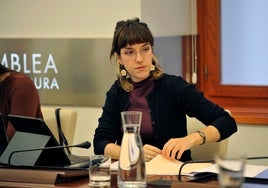 La diputada de Unidas por Extremadura, Nerea Fernández.