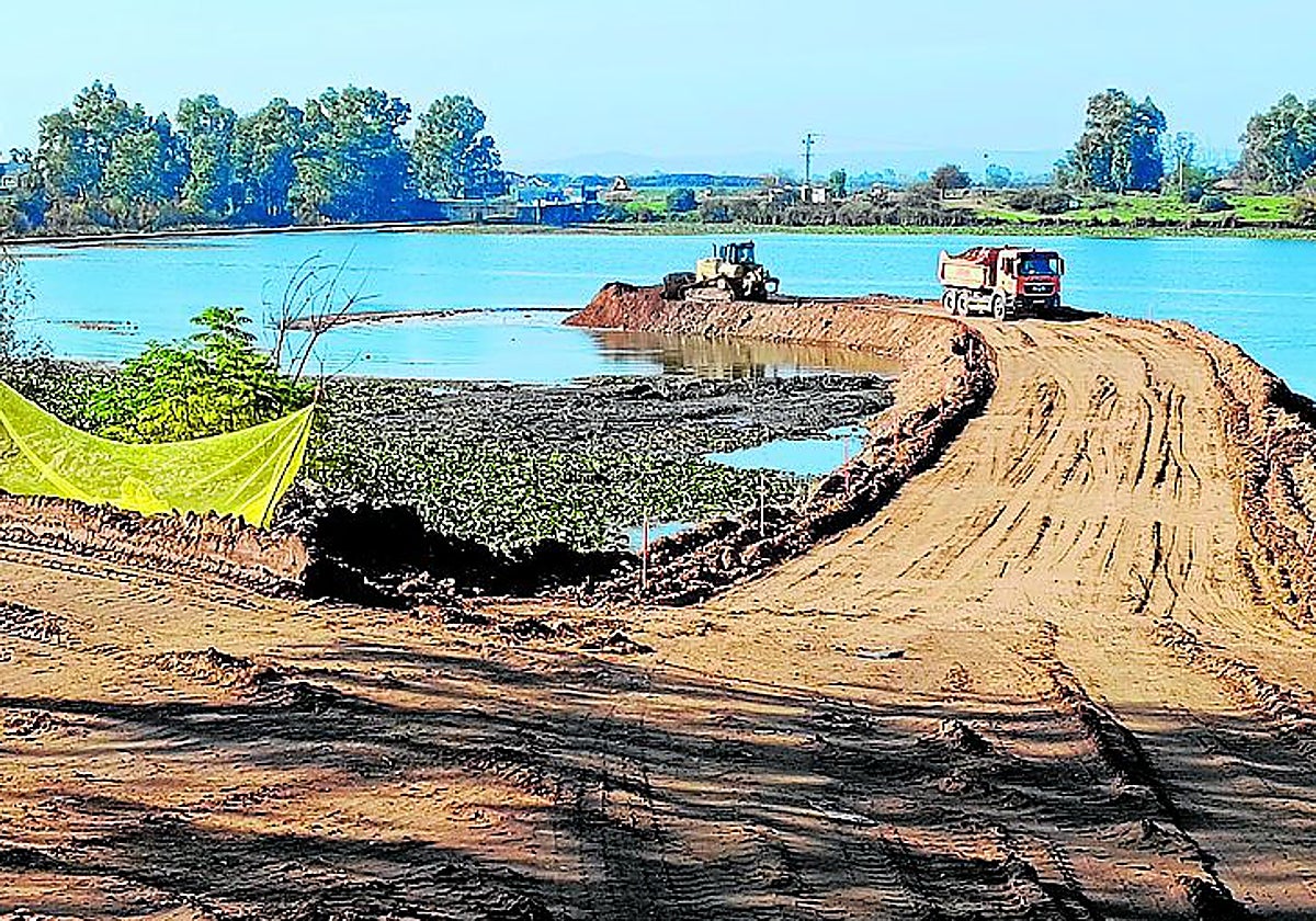 Construcción de la ataguía en La Granadilla.