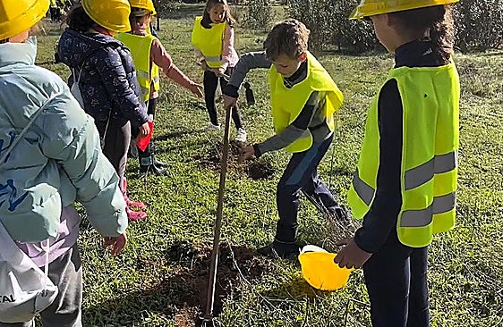 Reforestación escolar en Los Cantos