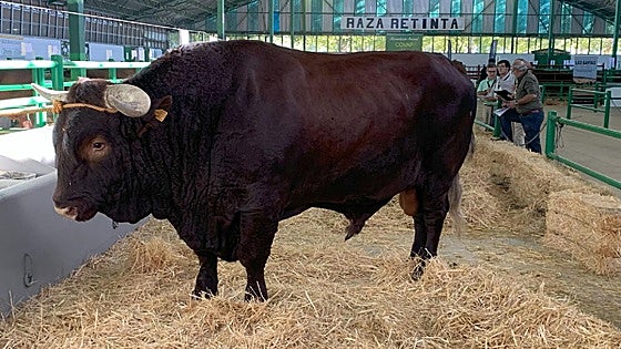 Los criadores de razas autóctonas podrán recibir 80.000 euros para libros genealógicos